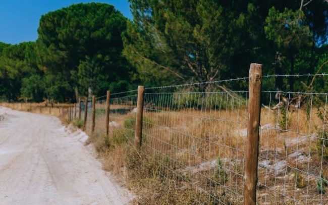 Camino rural con vallado de madera y malla metálica.